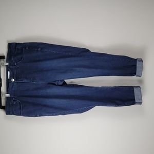 Rebel Wilson X Angels The Pin Up skinny jeans plus size 16